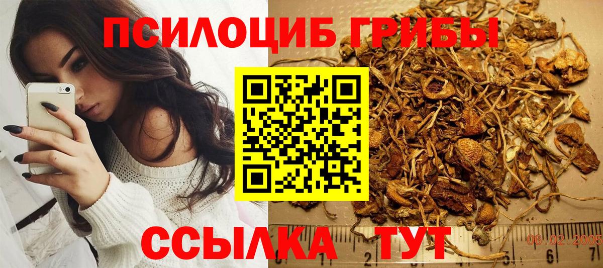 Псилоцибиновые грибы Cubensis  Псилоцибиновые грибы GOLDEN TEACHER  Вход с VPN  Краснодар 